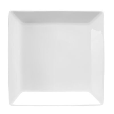 TUNDRA SQUARE PLATE, 9.875″
