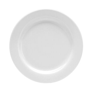 TUNDRA PLATE, 10.5″