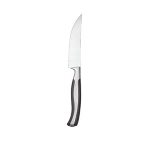 CASPIAN STEAK KNIFE