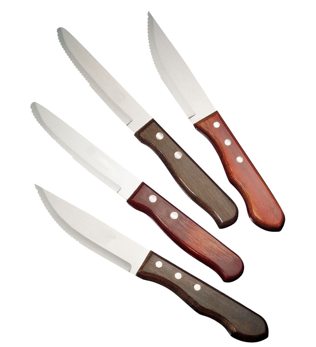 Oneida Hospitality Caspian 12 Piece Steak Knife Set